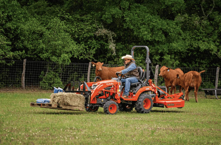 Man moving pallet of hay stacks with cattle in the back